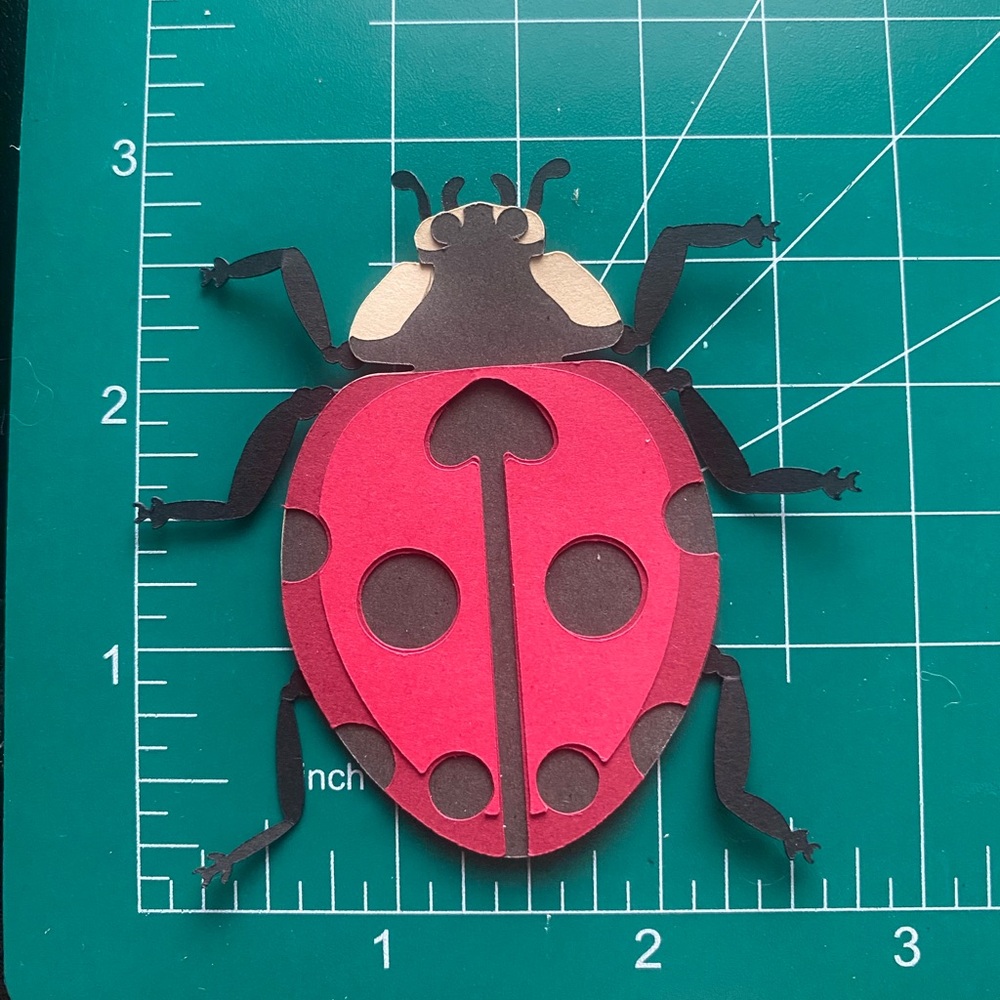 3D Magnet Ladybug